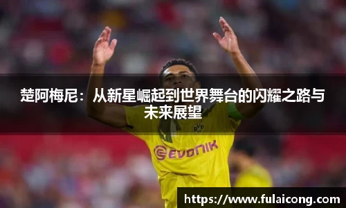 楚阿梅尼：从新星崛起到世界舞台的闪耀之路与未来展望