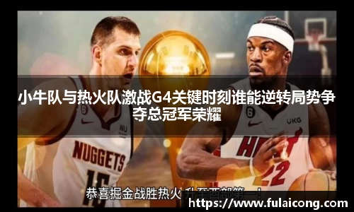 小牛队与热火队激战G4关键时刻谁能逆转局势争夺总冠军荣耀